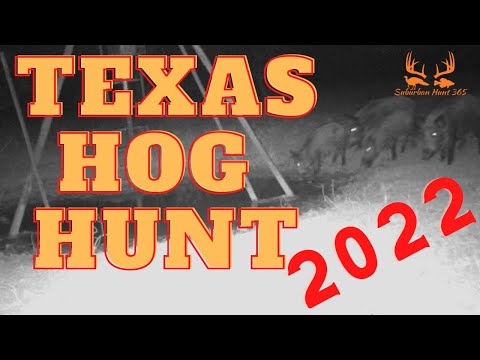 Texas Hog Hunt 2022
