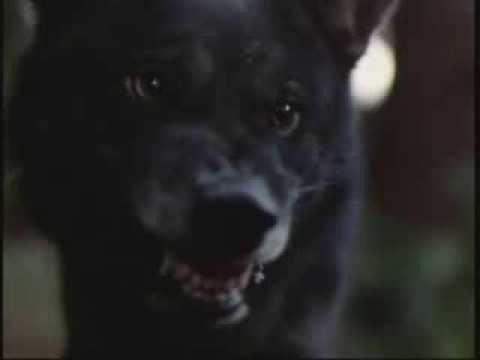 Benji the Hunted Soundtrack Part 2 - Chases