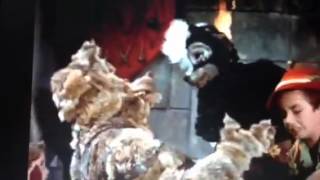 El zorrillito cuchi-cuchi