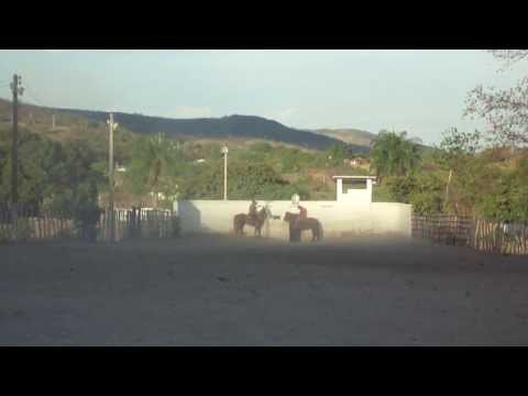 Junior do latão esteira