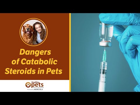 The Danger of Catabolic Steroids in Veterinary Practice