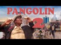 Pangolin Part 2 Bouncer And Lapir Krimhill Schools