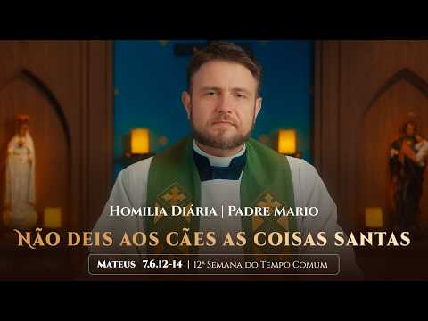 Homilia Diária | Terça-feira - 12ª Semana do Tempo Comum -  (Mt 7,6.12-14)