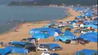 preview picture of video 'В Ливадии хорошая погода, температура  воды в море 21, утро 09.08.2013 г.'