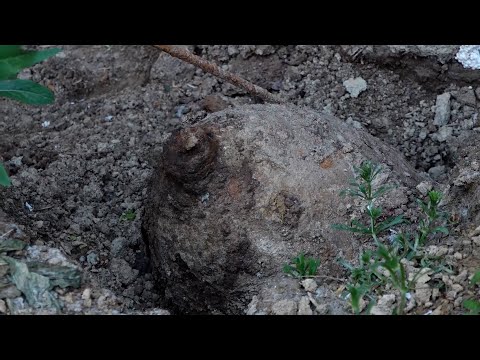 Uspešno uklonjena bomba iz Drugog svetskog rata