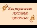 Как нарисовать ЛИСТЬЯ РЯБИНЫ? 