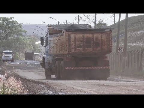 Árvores devem ser plantadas ao redor de Santa Gertrudes para diminuir poluição