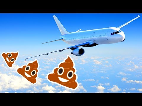 ЧТО ПРОИСХОДИТ, когда Вы Смываете в Туалете Самолета? 7 секретов самолетов