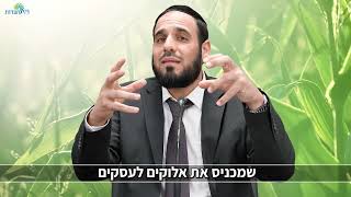 אתה רוצה להצליח? | הרב דוד פריוף נותן לך את המפתח (הרב דוד פריוף) - התמונה מוצגת ישירות מתוך אתר האינטרנט יוטיוב. זכויות היוצרים בתמונה שייכות ליוצרה. קישור קרדיט למקור התוכן נמצא בתוך דף הסרטון