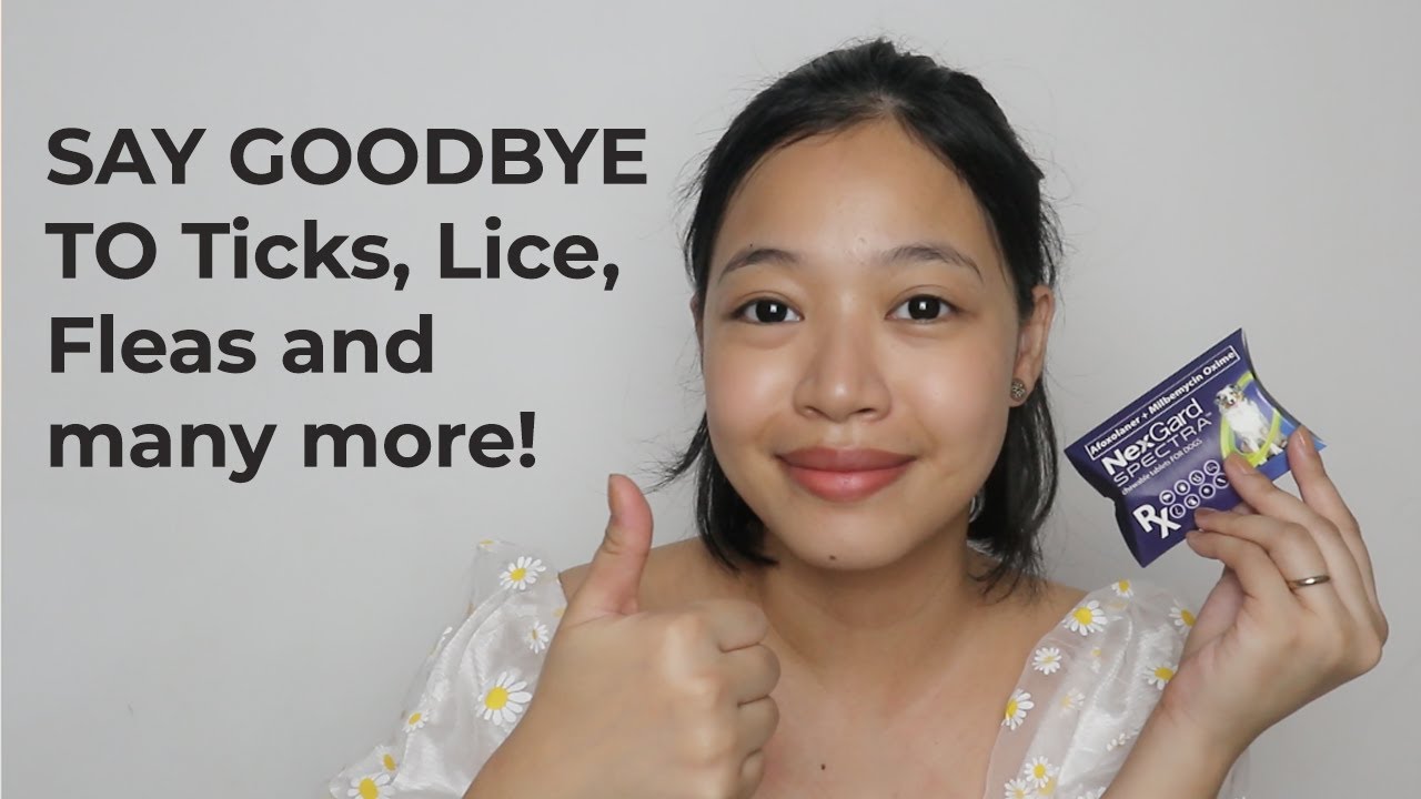 GARAPATA SOLUTIONS FOR PETS | NEXGARD Spectra Review| Plus Giveaway Part 2 Winner! (Vlog#51)