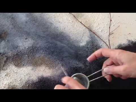 MARIA EMAUZ - BURNED | 2015