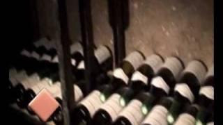 preview picture of video 'BODEGAS DEL MUNDO: Chateau de Marsannay, Francia / LA SERRANITA NATURAL RESORT (BQ2)'