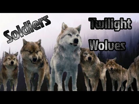 Twilight Wolves - Soldiers