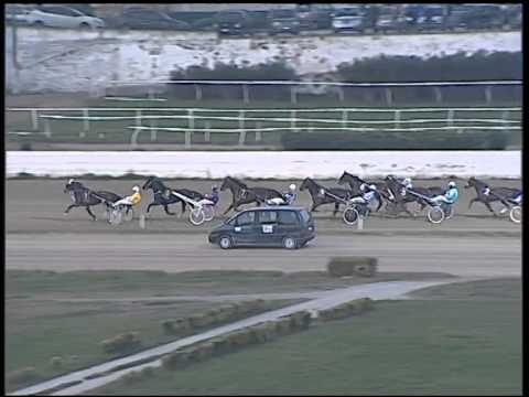 Trotto 23/11/2014 - 5° corsa