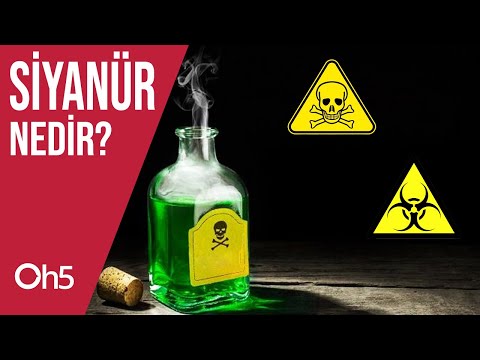 Siyanür Nedir? Nasıl Altın Çıkarmada Kullanılır? İnsanı Nasıl Öldürür?