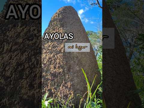 Ayolas-Misiones Mi ciudad