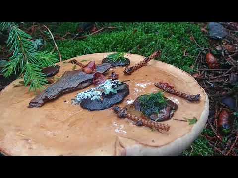 Day 133 on The Appalachian Trail, Green Mountain, Rock Garden Fun