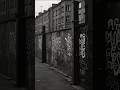 The Fall Of The Berlin Wall A Historic Moment In 1989