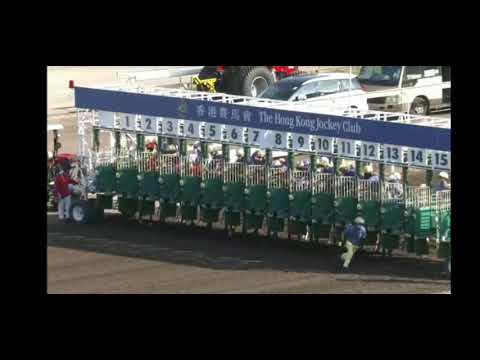 2021 05 08 沙田 第八場 黃皓楠 雙天至尊