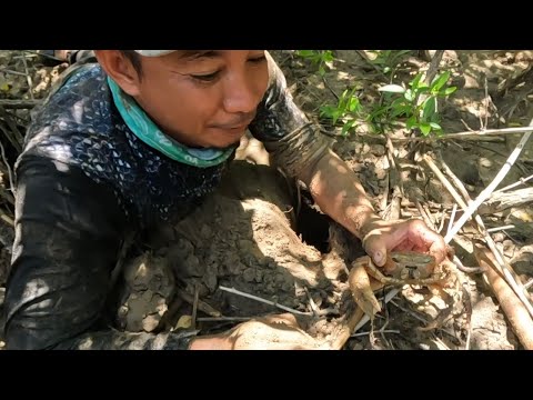 EP702-P1 - Pangunguha ng Capiz na Nauwi sa Pandudukot ng Kuray