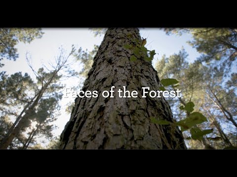 Watch Faces of the Forest: Meet the Rainey Family of Arkansas