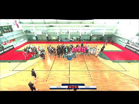 Trofej Beograda Vojvodina - Mega MIS