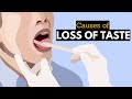 Causes Of Loss Of Taste How To Regain It