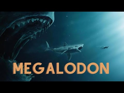 MEGALODON - O maior predador dos oceanos