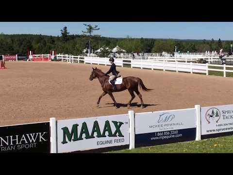 Windekind II - Caledon National 2017