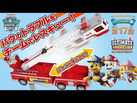 【パウ・パトロールおもちゃ紹介】全長約60cmの超ビッグサイズ！新ビークルを大紹介！【パウフェクトTV】