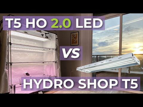 What is the Best T5 Grow Light of 2025? - Active Grow T5 LED Vs. Fluorescent Grow Light Fixtures