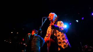 Robyn Hitchcock - So You Think You&#39;re In Love - Boston 2013