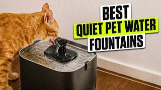 3 BEST Quiet Pet Water Fountains 2026