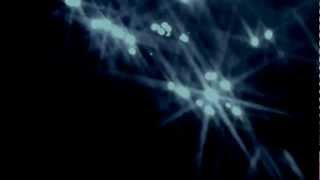 MARTIN REV -  Whisper