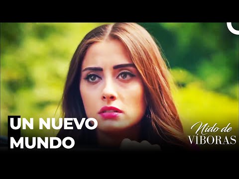 Déjame Ser Tu Amor - Nido De Víboras