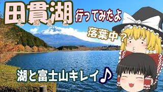 【ゆっくりドライブ】紅葉を見に田貫湖に行ってみた