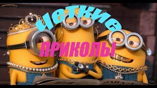 😁.Приколы. Смешные животные. Приколы 2019. Лучшие приколы 2019. Свежие приколы 2019.