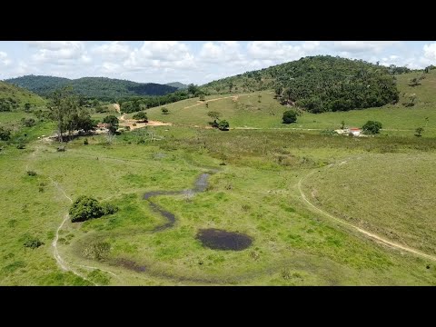 FAZENDA MINAS GERAIS 342HA / 70.8 ALQUEIRES/ LUXO R$90 MIL REAIS POR ALQUEIRE