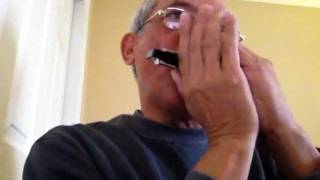 Video thumbnail for Medley Filipino folk songs on Hohner Echo Celeste by Vir Leynes