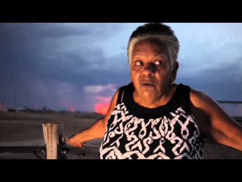 BushTV - The Wind on the Wire