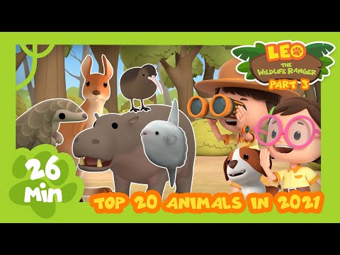 Top 20 Most Popular Animals from Season Two in 2021! Part 3! | Leo the Wildlife Ranger