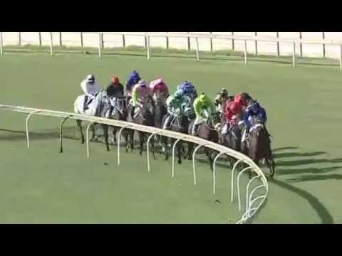 2014.04.26 S A Oaks - Ash Cloud