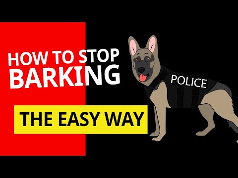 How To Stop Neighbors Dog From Barking