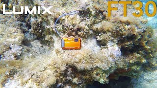 Panasonic LUMIX FT30 + test video: la compatta subacquea super economica