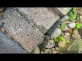 Bricks Hide Ants in Manahawkin, NJ
