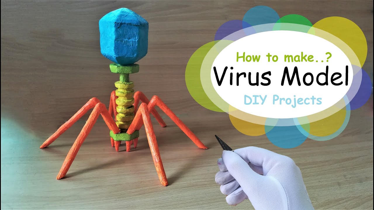 How to make Bacteriophage Virus 3d Model using Thermocol | Holiday Homework