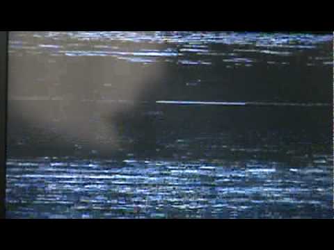 Birthday clip of Nisha 1989