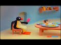 Pingu Mockup Sneak Peak 2
