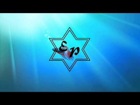 Phil Jay vs Da Brozz ft. Landon Gadoci - Love In Our Minds (Da Brozz Extended)