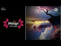Bol Na Halke Halke Song For WhatApp Status